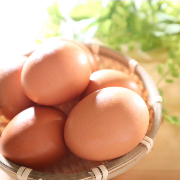 <sold out> 海苔入り餌で育った卵【白黄の灯台】30個セット